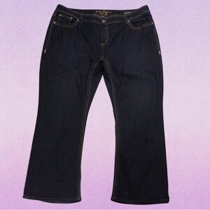 Melissa McCarthy Seven Dark Blue Jeans